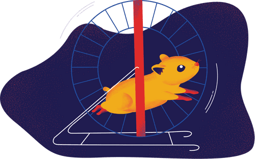 hamster running on hamster wheel